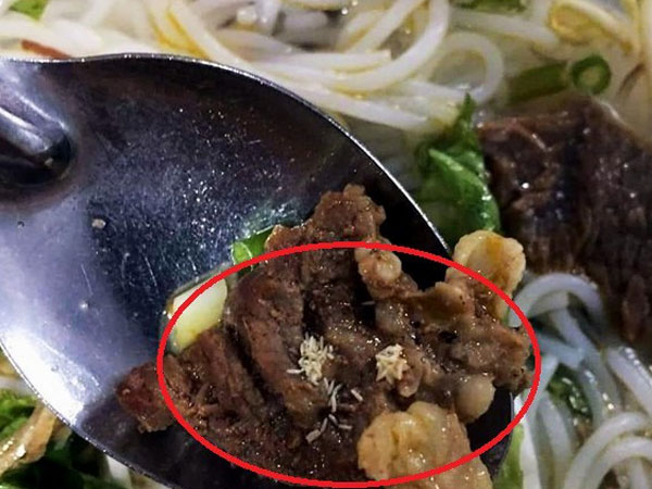 Ảnh bìa bài viết 615944
