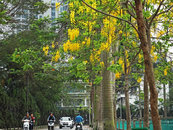 Ảnh bìa bài viết 617467