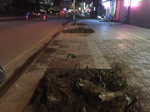 Ảnh bìa bài viết 617420