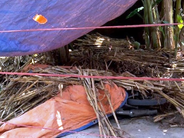 Ảnh bìa bài viết 617888