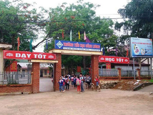 Ảnh bìa bài viết 618641