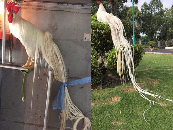 Ảnh bìa bài viết 618782