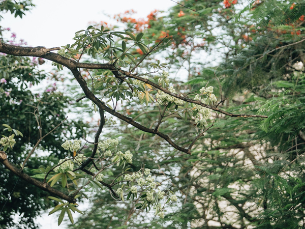 Ảnh bìa bài viết 619387