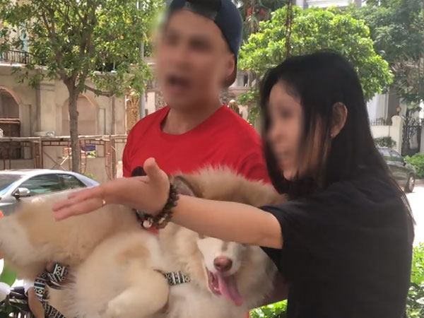 Ảnh bìa bài viết 619505