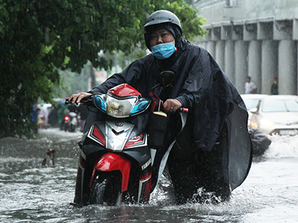 Ảnh bìa bài viết 619633
