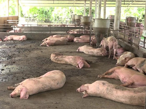 Ảnh bìa bài viết 620869