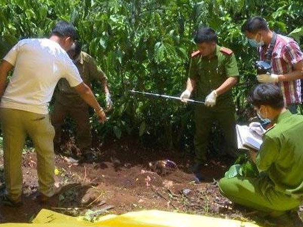 Ảnh bìa bài viết 621347