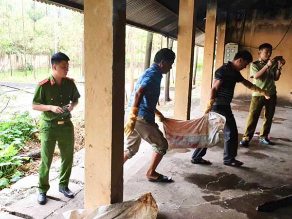 Ảnh bìa bài viết 621873
