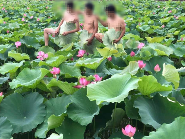 Ảnh bìa bài viết 621997