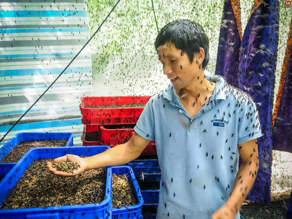 Ảnh bìa bài viết 621946