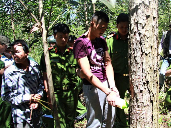 Ảnh bìa bài viết 622156