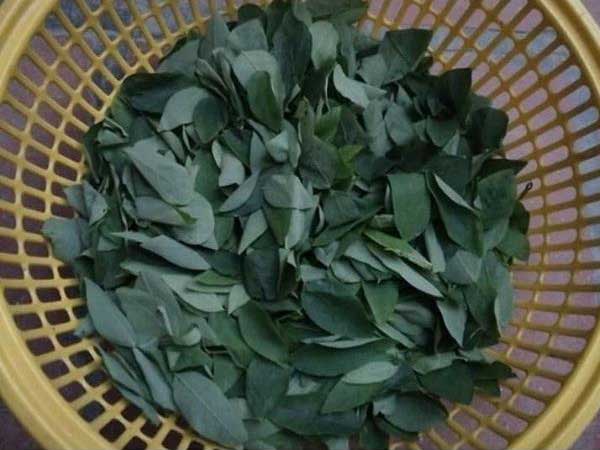 Ảnh bìa bài viết 622090