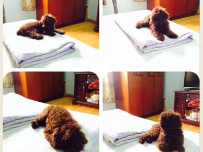 Ảnh bìa bài viết 276744