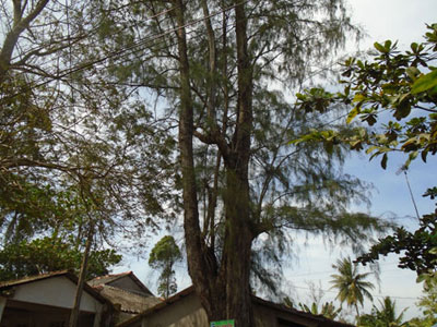 Ảnh bìa bài viết 276981