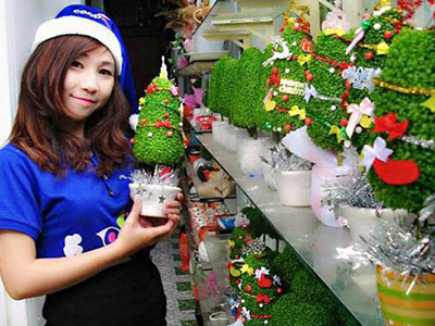 Ảnh bìa bài viết 277083