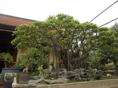 Ảnh bìa bài viết 277365