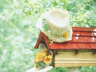 Ảnh bìa bài viết 277479