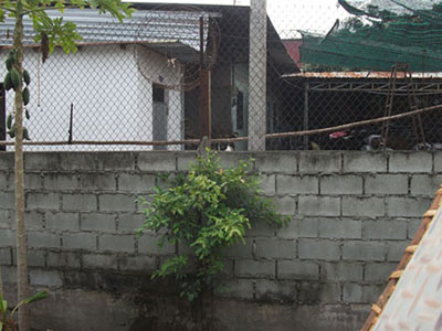 Ảnh bìa bài viết 277606