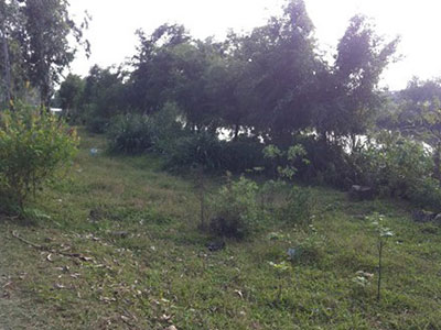 Ảnh bìa bài viết 277712
