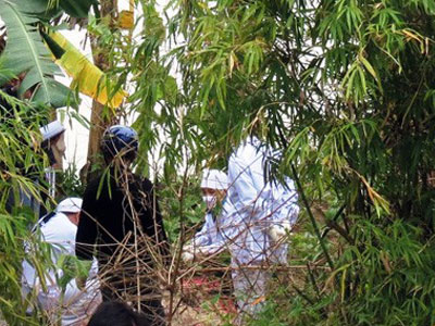 Ảnh bìa bài viết 278010