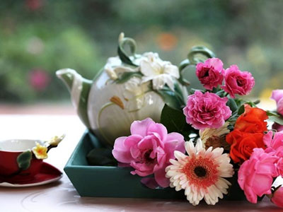 Ảnh bìa bài viết 278130