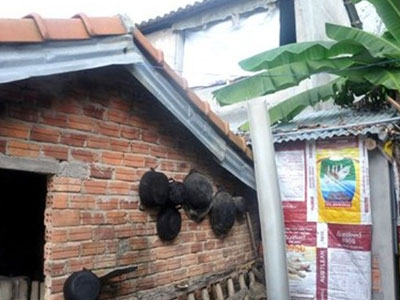 Ảnh bìa bài viết 278146