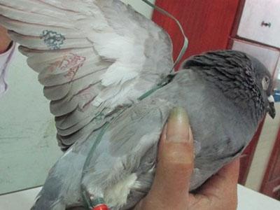 Ảnh bìa bài viết 278651