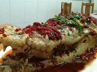 Ảnh bìa bài viết 278999