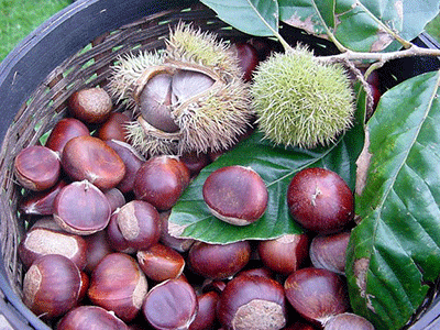 Ảnh bìa bài viết 279200