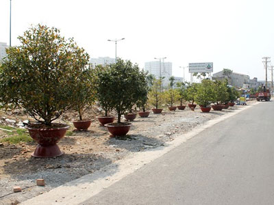 Ảnh bìa bài viết 280631