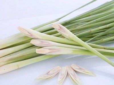 Ảnh bìa bài viết 281573