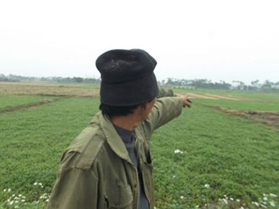 Ảnh bìa bài viết 282501