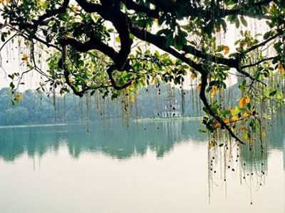 Ảnh bìa bài viết 282863