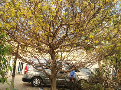 Ảnh bìa bài viết 283236