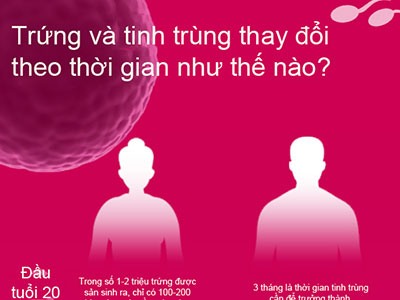 Ảnh bìa bài viết 283325