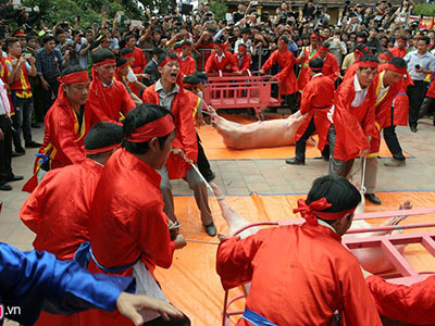 Ảnh bìa bài viết 284682