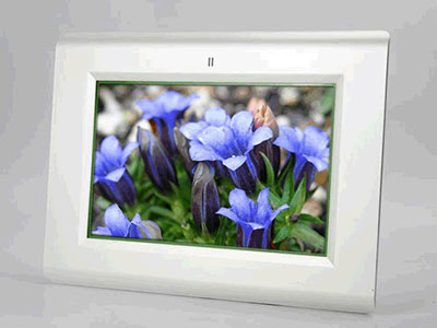 Ảnh bìa bài viết 285471