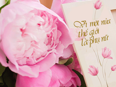 Ảnh bìa bài viết 286241