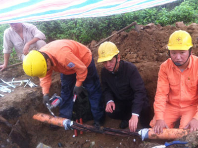 Ảnh bìa bài viết 286822