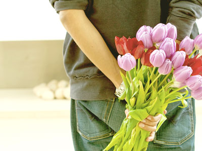 Ảnh bìa bài viết 287829