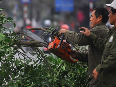 Ảnh bìa bài viết 288228