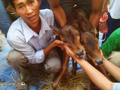 Ảnh bìa bài viết 288089