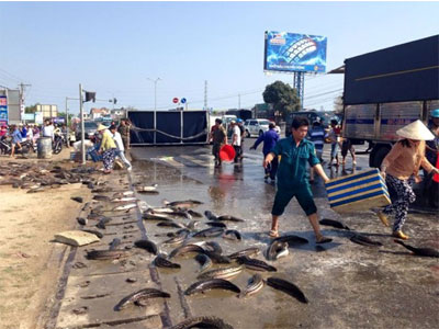 Ảnh bìa bài viết 288068