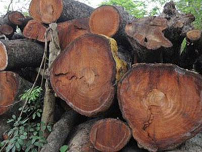 Ảnh bìa bài viết 289444