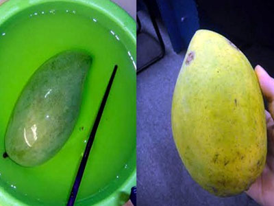 Ảnh bìa bài viết 291072