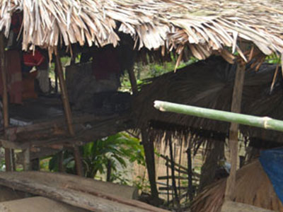 Ảnh bìa bài viết 291327