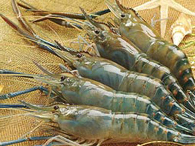 Ảnh bìa bài viết 292657