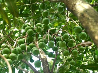 Ảnh bìa bài viết 292940