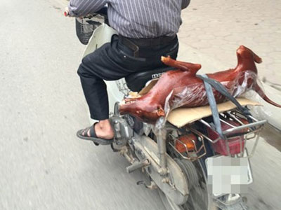 Ảnh bìa bài viết 293155