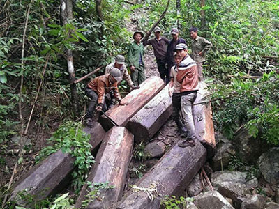Ảnh bìa bài viết 293427